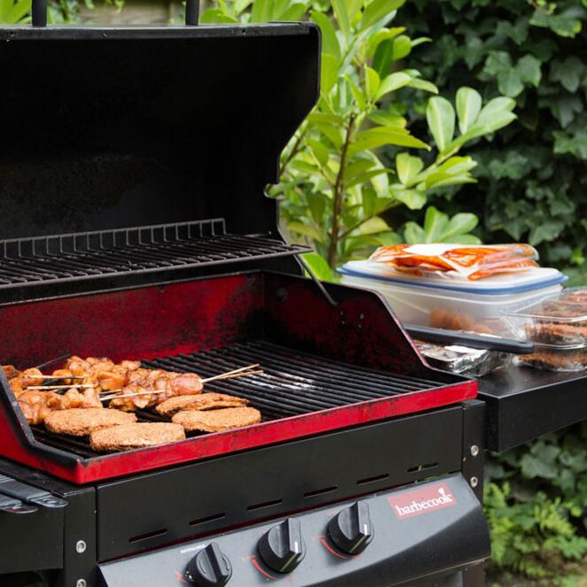 grill cleaning